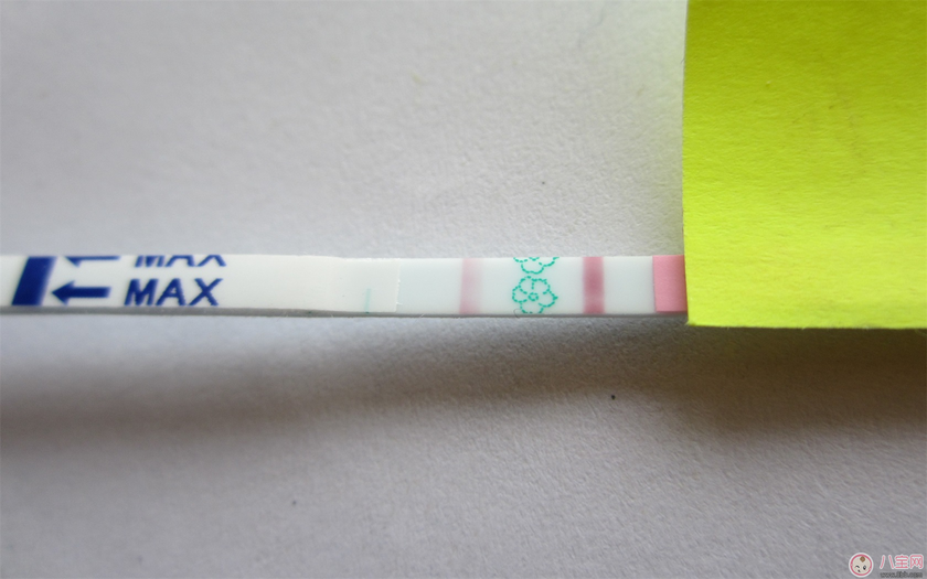 测卵纸二条红线是不是可以怀上 备孕测排卵的方法