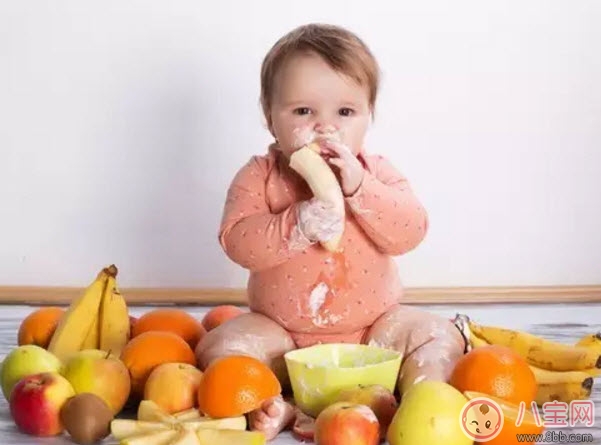 宝宝什么时候加辅食 不同月龄宝宝吃什么什么辅食(辅食添加顺序)