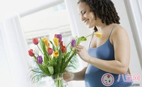 孕妇不能养什么花草 孕妇适合养哪些花草(适合孕妇养的花草名单)