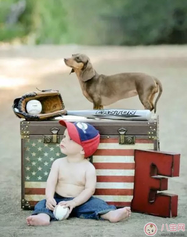 小宝宝拿狗盆里的狗食 夏季小宝宝如何与狗狗相处