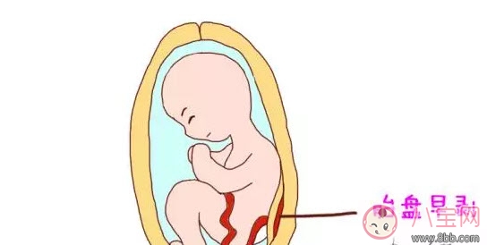 什么是孕晚期见红 孕晚期见红肚子疼怎么办