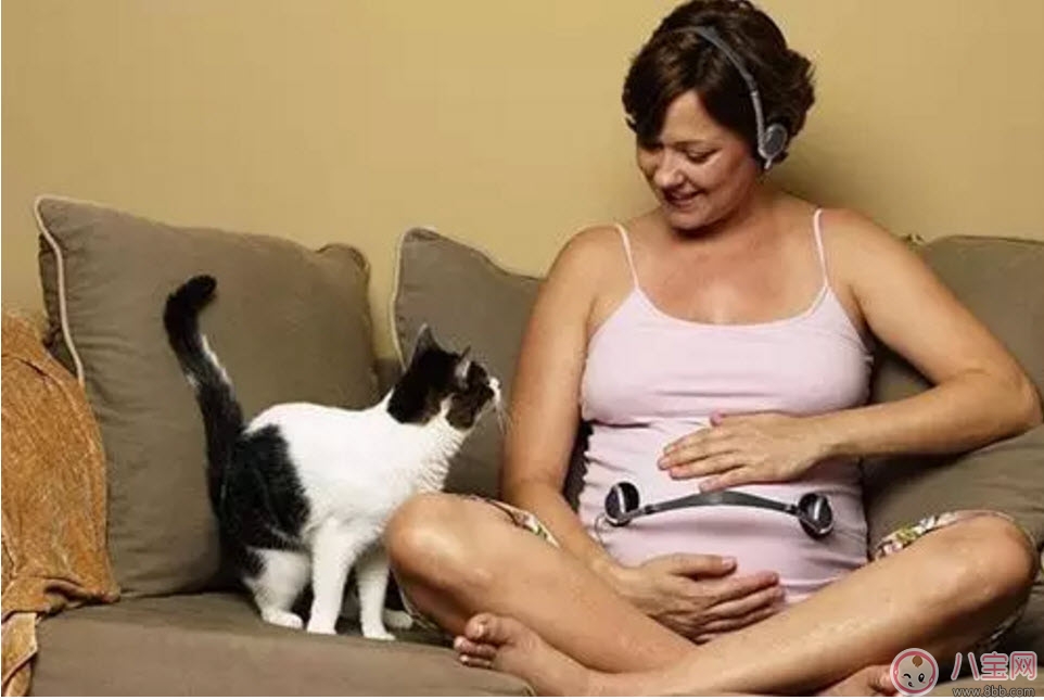 孕期家里有宠物怎么办 孕期养宠物注意事项