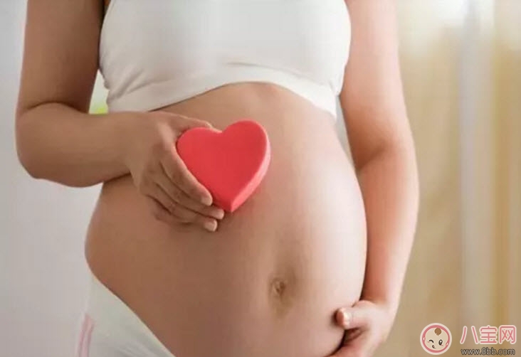 孕妇|孕妇能吃鹌鹑吗 孕妇吃鹌鹑的好处有哪些