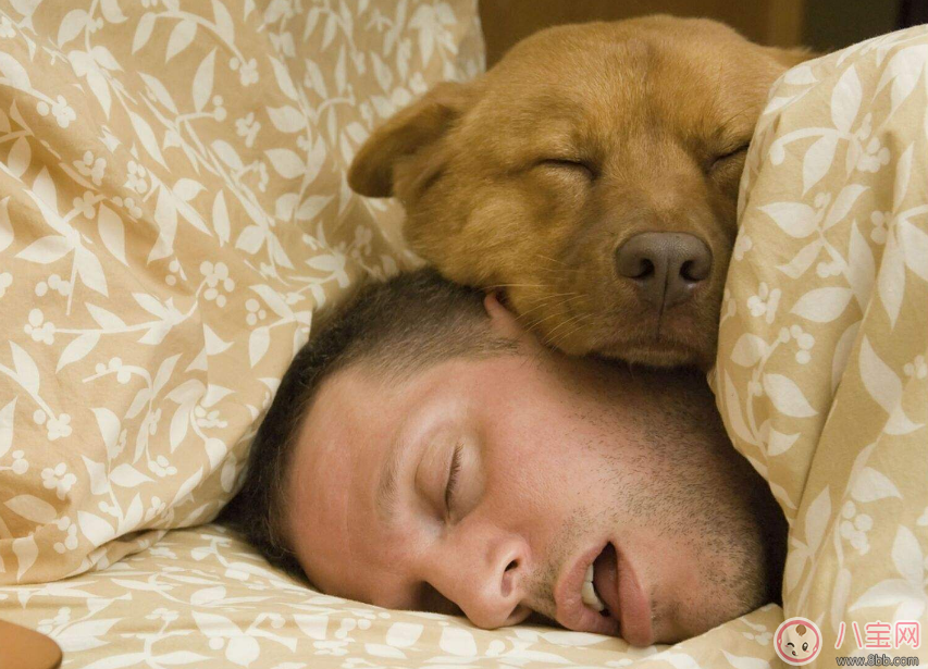 睡觉|皮肤变差是因为睡眠 生活中这些影响着睡眠