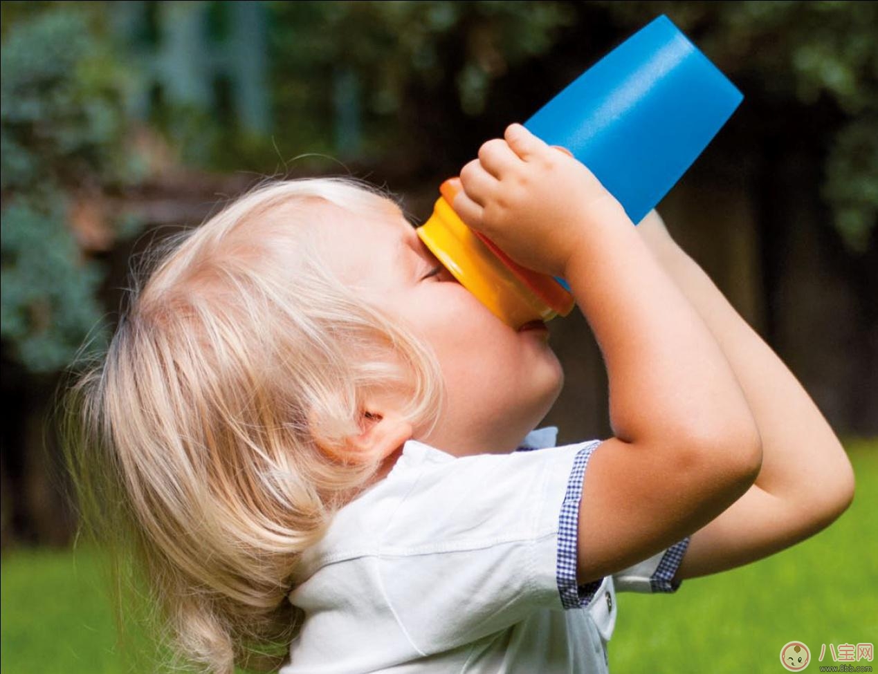怎么喝水更健康  宝宝喝水常犯错误