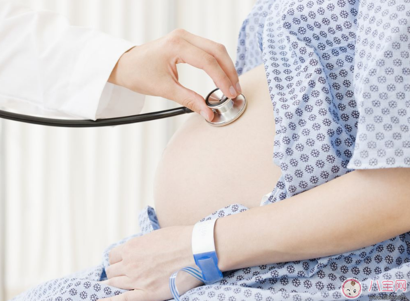 为什么雪梨怀孕12周才公布怀孕消息 怀孕头12周不能说