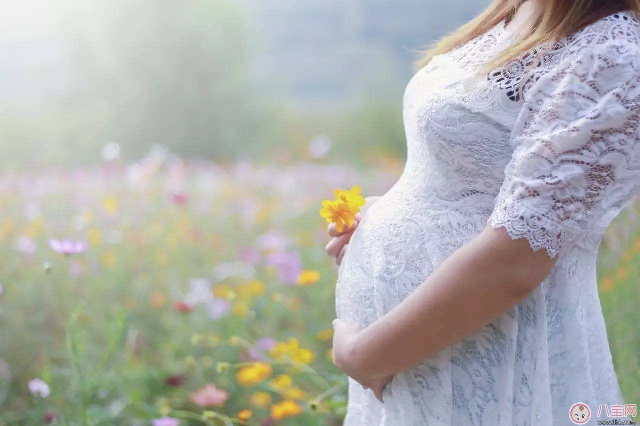 怀孕后乳房变化  如何正确护理