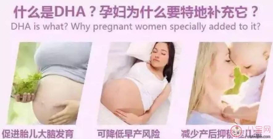 孕妇有必要补充dha吗 孕妇怎么补充dha