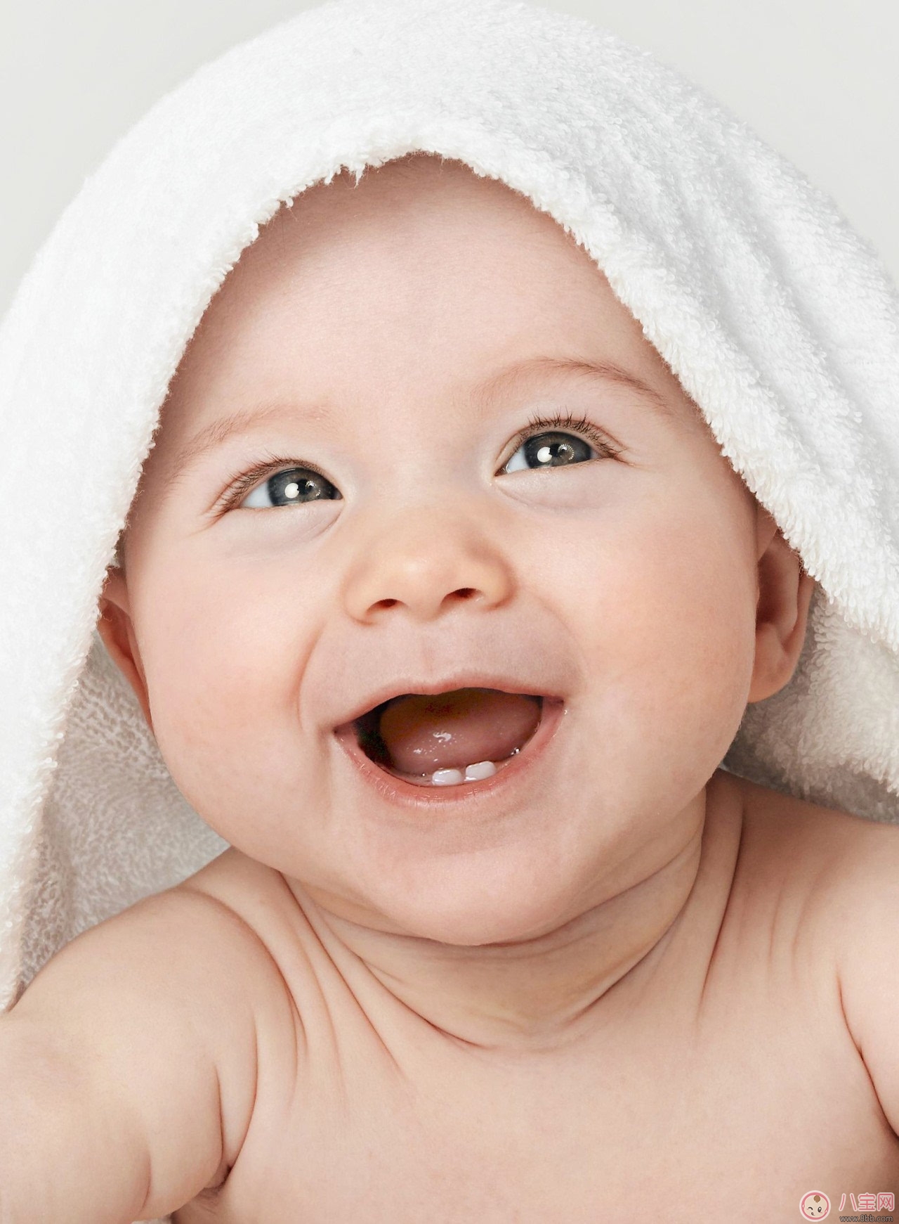 牙齿是宝宝健康的前提！牙好胃口才好！_乳牙