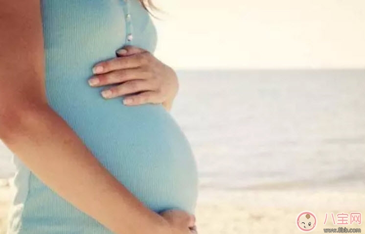 孕妇吃生晒参有哪些讲究 孕妇怀孕后期能吃人参吗