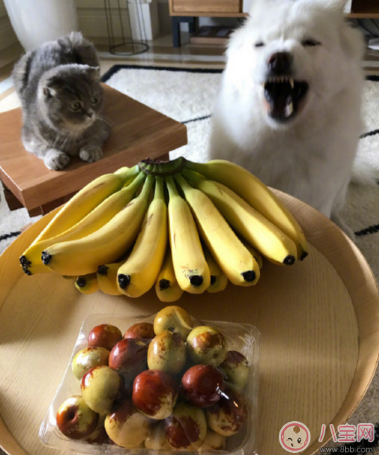 为什么吃完香蕉吃枣一股怪味 吃完香蕉再吃枣什么味道(网友：屁味)