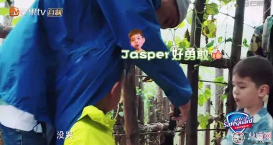 刘畊宏为什么要把吴尊送的T恤给嗯哼 Jasper摔倒了嗯哼如何安慰的