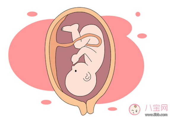 孕妈的身材和胎儿大小决定顺产或者剖腹产的说法正确吗