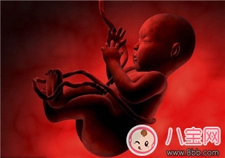 孕妈分娩时胎儿在干嘛 胎儿怎么配合分娩呢