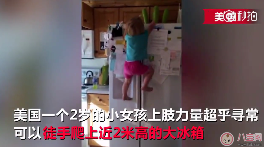 2岁女汉子徒手爬冰箱 怎么防止宝宝乱爬摔下来