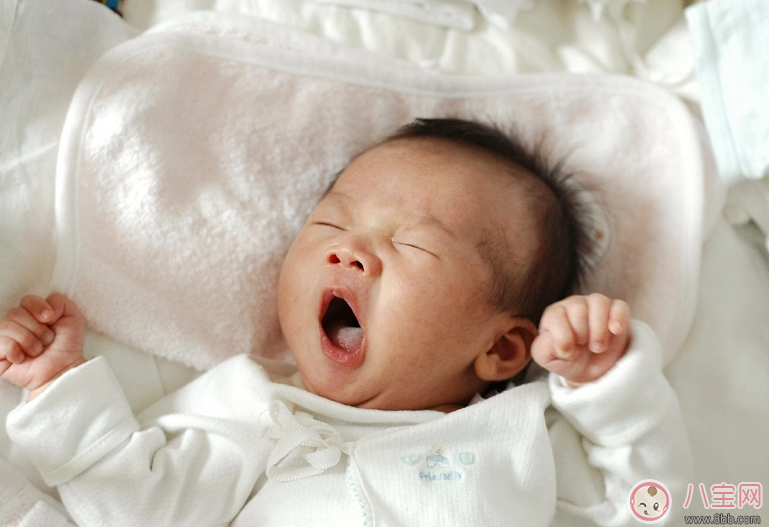 宝宝|荞麦皮枕头宝宝可以用吗 什么样的枕头最适合宝宝