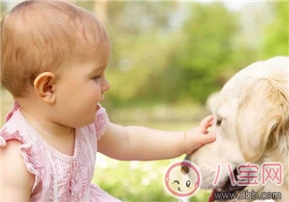 宝宝被宠物咬伤如何急救 孩子伤口怎么正确处理