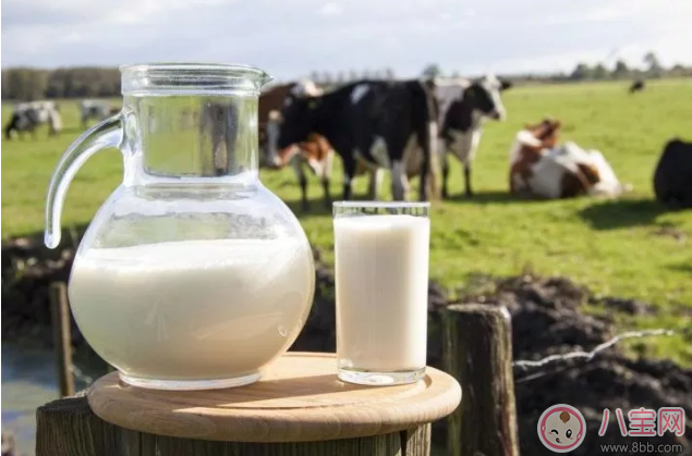 宝宝喝羊奶比牛奶好吸收吗 羊奶比牛奶有营养些吗