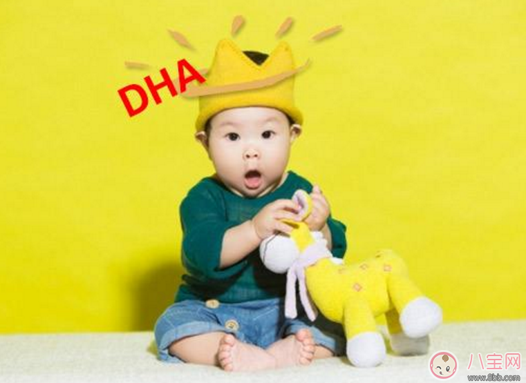 宝宝吃哪些食物可以补充DHA 哪种食用油能给宝宝补充更多DHA