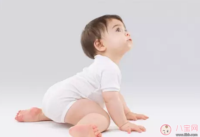 宝宝|六个月宝宝喜欢站会变成罗圈腿吗 宝宝太早学习站立会变成罗圈腿吗