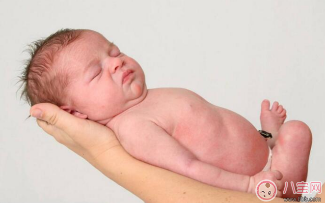 新生儿宝宝发育特点及护理小技巧
