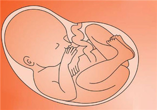 孕妇睡觉的时候胎儿也在睡觉吗 胎儿什么时候睡觉