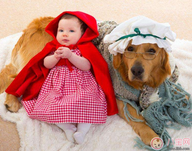 养狗陪伴孩子的好处是什么 二胎陪伴大宝和养狗狗陪伴有什么区别