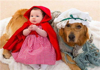 养狗陪伴孩子的好处是什么 二胎陪伴大宝和养狗狗陪伴有什么区别