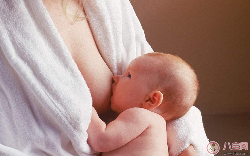 宝宝奶量不大频繁堵奶怎么办 如何缓解堵奶痛疼