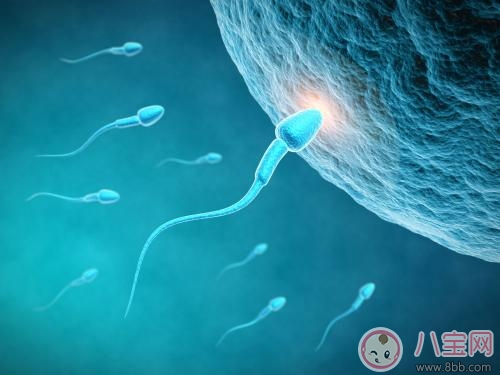 男性提高精子活性注意事项 远离这些习惯迎来优质宝宝