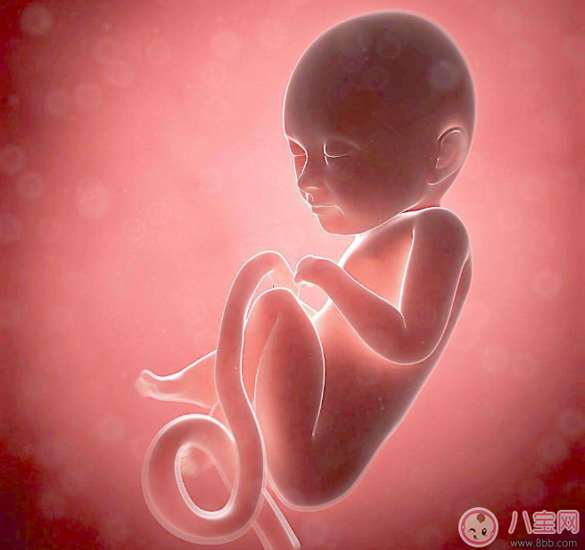 怀孕的时候胎儿对外界会有记忆吗 孩子出生后会不会记得在妈妈肚子里面的事