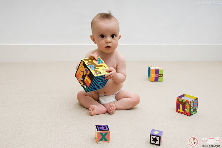 孩子智力高发期是什么时候 怎么做可以提高宝宝智力发育