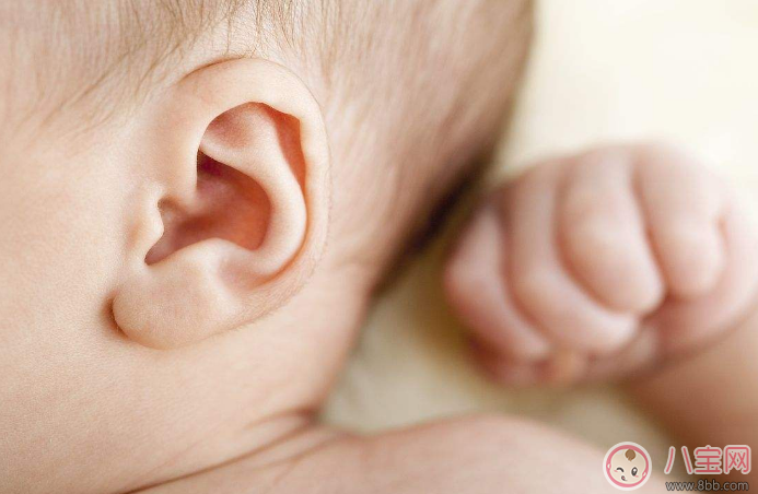 宝宝耳朵大好不好 宝宝耳朵大面相好真的吗