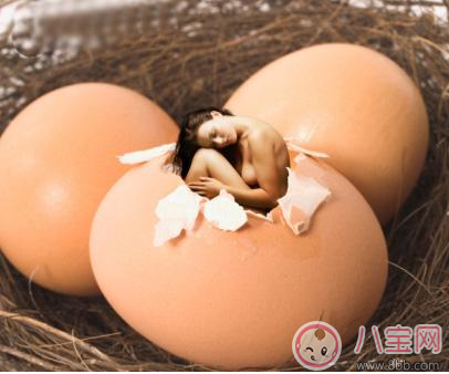 卵子质量差的原因是什么 卵子质量差怎么调理