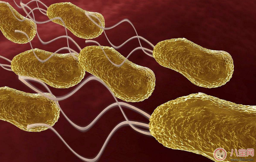 孩子感染幽门螺旋杆菌的症状是什么 幽门螺旋杆菌呈阳性严重吗