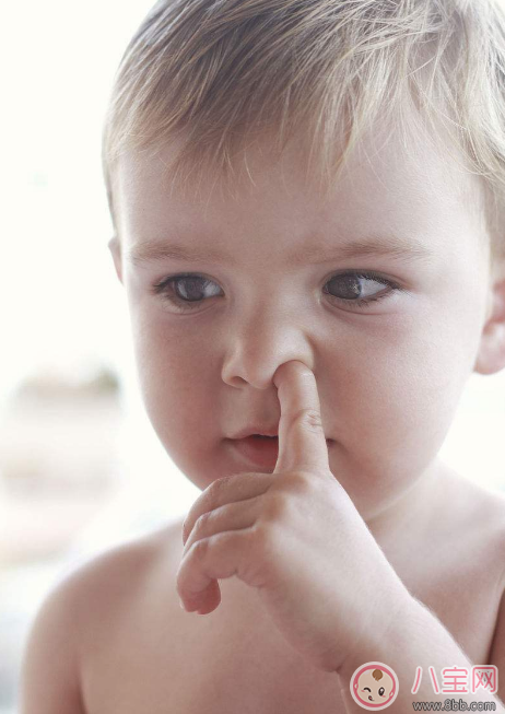 宝宝鼻子有鼻屎怎么办   宝宝有鼻屎怎么弄出来
