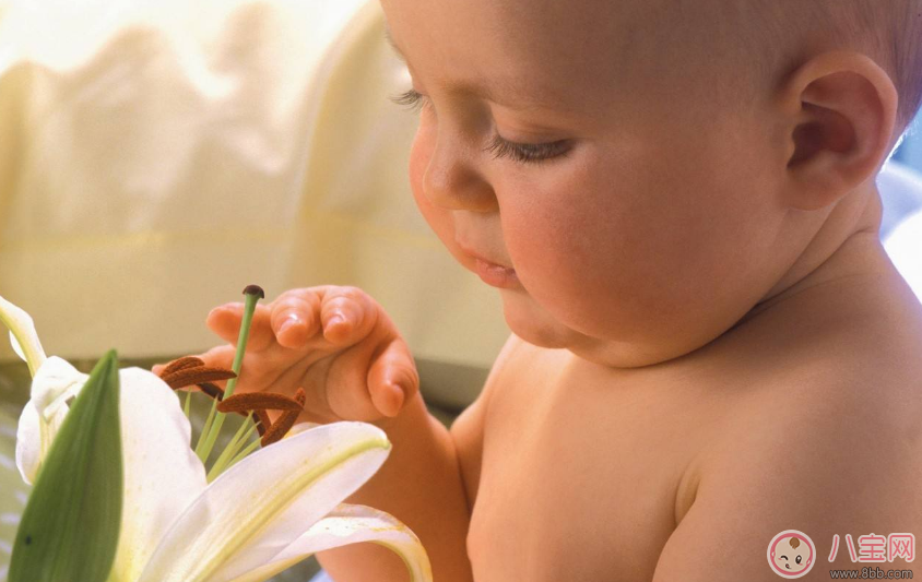 宝宝第一次添加辅食导致过敏怎么办 怎么避免孩子食物过敏