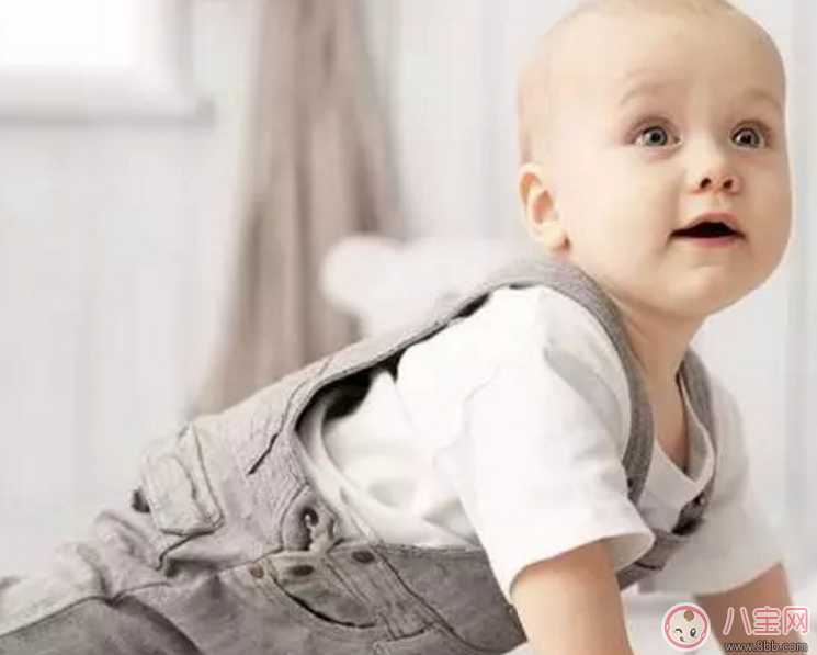宝宝学走路和智力发育有关吗 宝宝越聪明越早学会走路吗