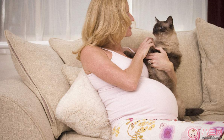 养宠物对怀孕有影响吗 生孩子真的要送走宠物吗