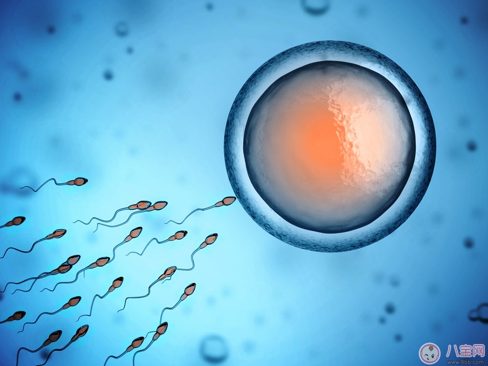 精子存活率低会影响怀孕吗 精子存活率低可以做试管吗