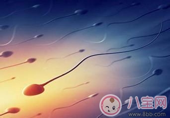 精子存活率低会影响怀孕吗 精子存活率低可以做试管吗