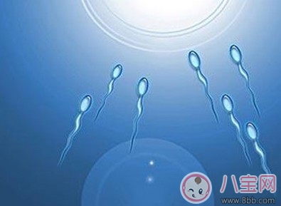 精子密度低影响怀孕吗 精子密度低怎么办