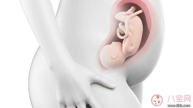 胎儿头偏小怎么回事 胎儿偏小是孕妈妈营养不良吗