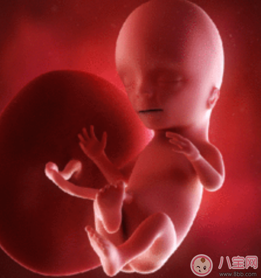 胎儿发育太小吃什么 肚子小就是胎儿发育不良吗