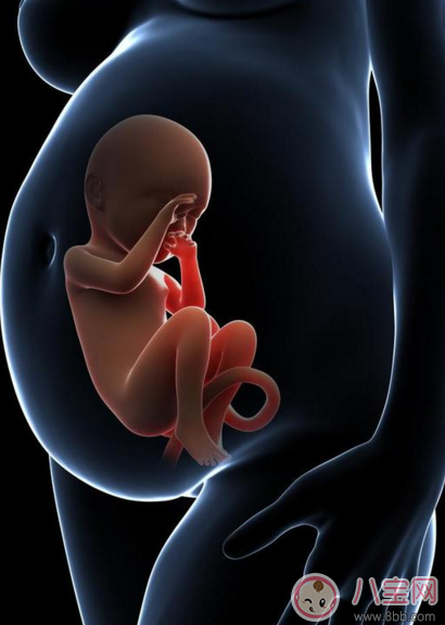 甲减引响胎儿的孕周发育吗 妊娠期甲减的高危人群