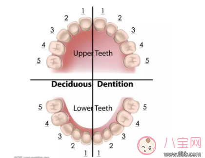 孩子多久做一次牙齿排畸检查比较好 孩子牙齿检查多久去医院一次