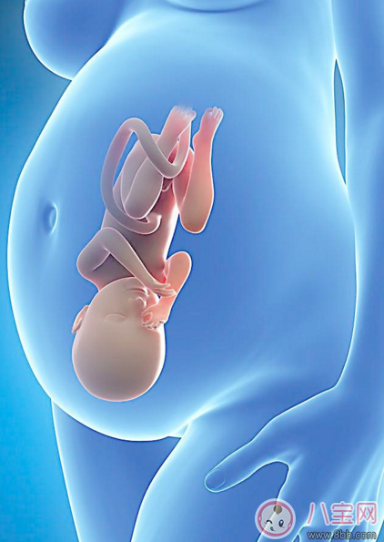 胎儿太大能顺产吗 多大的胎儿适合顺产