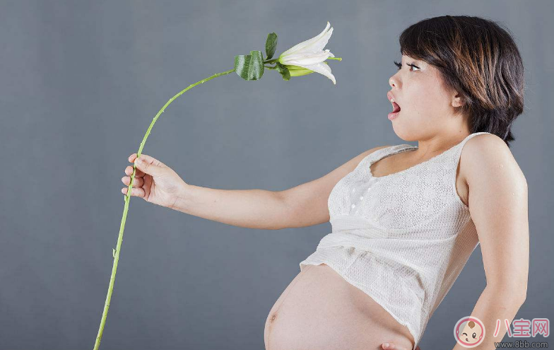孕妇春季可以赏花吗 孕妇出门赏花怎么做