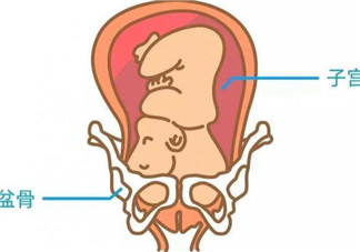 胎儿什么时候入盆 头胎宝宝入盆多久会生