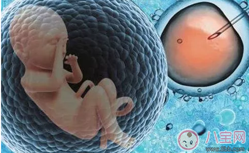 胚胎冷冻对宝宝有影响 试管婴儿冷冻胚胎有什么好处